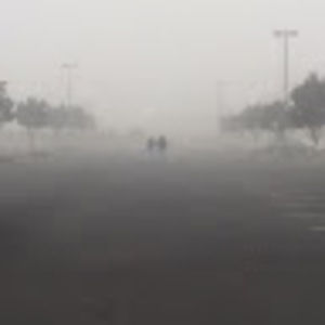 Meet your Posher, Stella